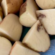 Potatoes with mop-top virus.