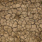 Dry land