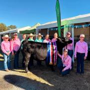 Scottsdale High cattle handling team with Supreme Beef winer Three Mile Spring