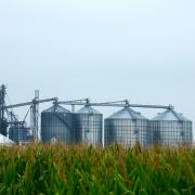 Ethanol plant