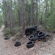 Tires dumped on STT land