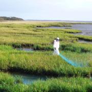 Ricegrass meadow spraying