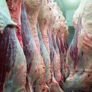 Carcases