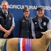 Judge Marshall Douglas with Shannon and Paul Day and their Poll Dorset Supreme Exhibit