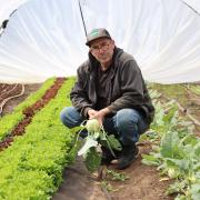 James Hutchinson is the owner of Longley Organic Farm.
