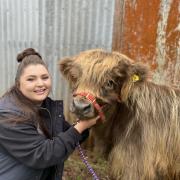 Tameka Roberts of Grange Hill Farm Highland cattle stud with one of the woolly beasts.