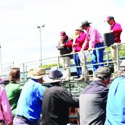 Powranna sale