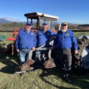 Neil, Colin and Darryl Berne