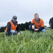 Pieter Raedts and Zac Beechy-Gradwell