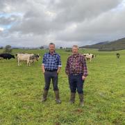 Geoff and Stan Cox from North View Dairy