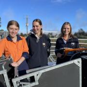 Weighing and drenching lambs are agriculture students Kallie Goss of Hillwood, Isabella Swain of Yorktown and Riley Evans of Beauty Point.