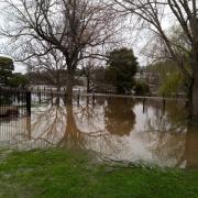 Flooding at New Norfolk in September 2024