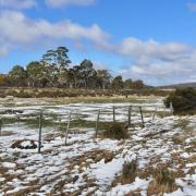 St Patricks Plains