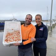 Superfresh Seafoods managers Jacob and Alanna Stanford with some of the first scallops of the season ahead of Bridport’s popular Tassie Scallop Fiesta.
