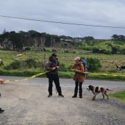 Jessica Cox and her husband George completed a seven-day, 200-kilometre circumnavigation of King Island’s coastline on Tuesday, raising almost $10,000 for the Black Dog Institute.
