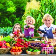 Vegetable stall