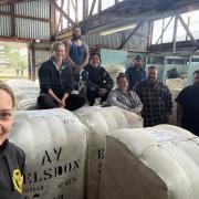 The sHedway crew will be at the Heritage and Bullock Festival