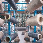 Chinese wool production is vital to Tasmania