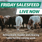 Salesfeed