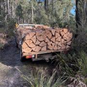 An illegal load of wood
