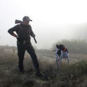 Hunting 