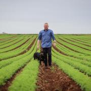 Premier Jeremy Rockliff with his dog Jack at his farm field growing peas