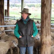 Fiona Hume surrounded by sheep