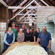 Family shearing together at Hunterston
