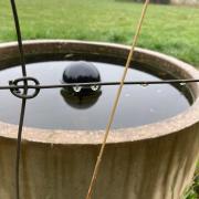 Weather Watcher by Pauline Macmillan