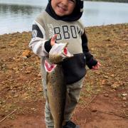 Three-and-a-half-year-old Kyat Scott, who was excited to catch this great-sized brown trout from Pet Dam recently.