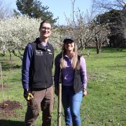 Dr Justin Cappadonna and Dr Leticia Reis during planting of heritage apple trees at 50 Trees Heritage Orchard at Newnham[