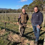 Vineyard manager Chris Martin and chief winemaker Ockie Myburgh