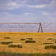 A farm