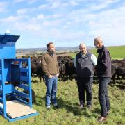 Tasmania's Low Emissions Livestock (LEL) project 