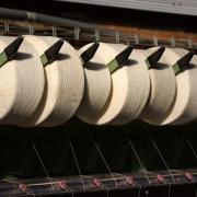 Wool