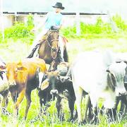 A Brazilian beef producer 