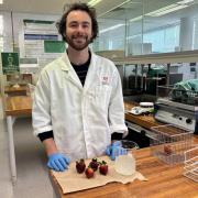Bachelor of Agricultural Science Honours student Fin Walton.