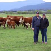 Andrew and Caroline McLauchlan on Valma Downs at Whitemore 