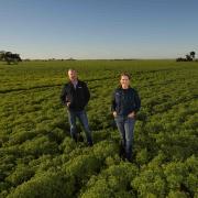 Co-founders of Cropify, Anna Falkiner, originally from Longford and Andrew Hannon, originally from Hobart.
