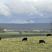 Rain clouds near Deloraine