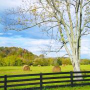 A farm fence