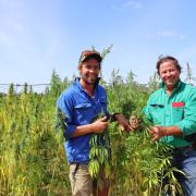 Hemp growers Chris Bayles and Tim Schmidt