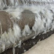Carding wool