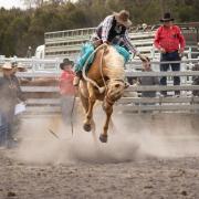 Rodeo pic