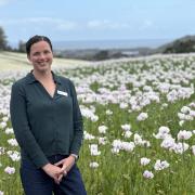 Dr Tory Clark is heading up a new zero net emissions horticulture demonstration project at Forthside.