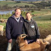 Iain and Kate Field of Leap Farm- Winners of Landcare's Sustainable Agriculture Award this year.