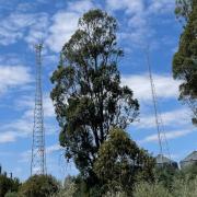 Phone and internet services are not performing in the bush.