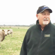 Bernard Atkins, Murray Grey breeder and livestock agent.