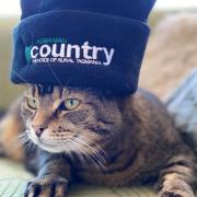 Tas Country beanie