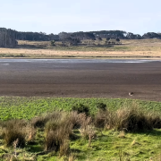 Pearshape Lagoon